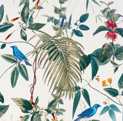 Arthouse Exotic Garden White Wallpaper | DIY at B&Q