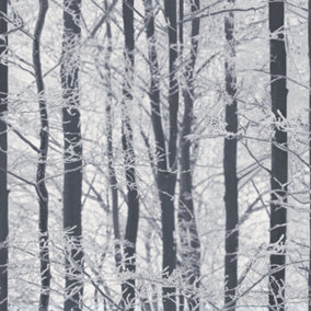Arthouse Frosted Wood Silver Wallpaper