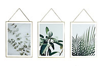 Arthouse Hanging Leaf Prints on Glass set of 3