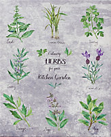 Arthouse Herbs Plants Printed Canvas