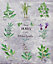Arthouse Herbs Plants Printed Canvas