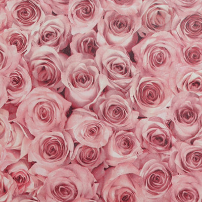 Arthouse Rose Wall Raspberry Wallpaper