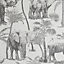 Arthouse Safari Elephant Charcoal Wallpaper