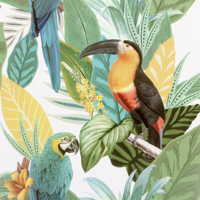 Arthouse Toucan Jungle Multi Wallpaper