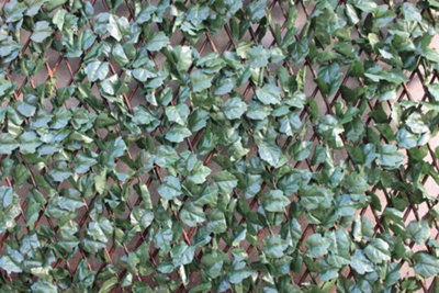 Artifical Garden Wonder Wall Trellis Ivy 100 x 200cm