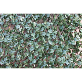 Artifical Garden Wonder Wall Trellis Ivy 100 x 200cm