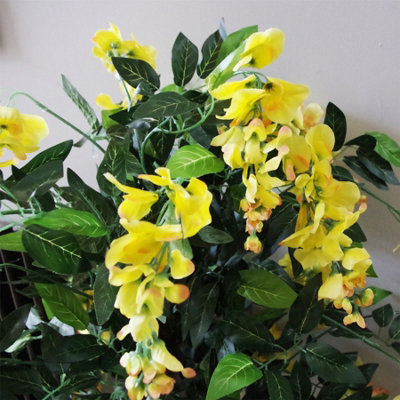 zimmerpflanze mit pinken blättern Ficus 'Belize' – Zimmerpflanze mit rosa-grünen Blättern, pflegeleicht und  optisch beeindruckend – Secret Garden Plant Shop main image 1