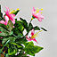 Artificial Duranta Pink Flowers Hanging Basket with Solar Light  26cm