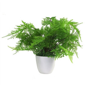 Artificial Fern Plant Pot Lady Fern 30cm UK Plants