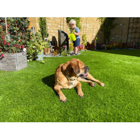 Artificial Grass. 30sqm  Barbados 3m x 10m, 30mm pile.  Pet  & Child Friendly With PU Backing. 3m Wide
