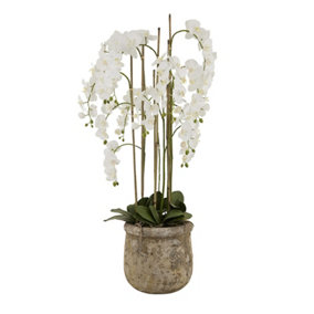 Artificial Large Orchid In Antique Pot - Plastic/Stone - L40 x W40 x H153 cm - White