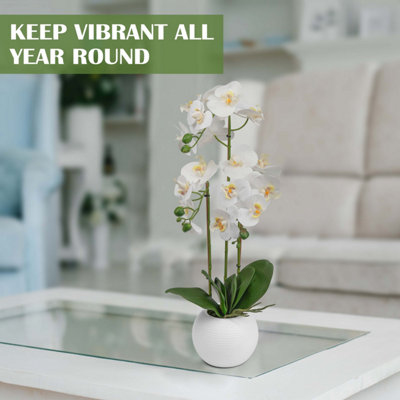 Artificial Orchid Flower Display in Pot 60cm White Realistic Home Party Decor