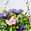 Artificial Petunia Flowers Rattan Hanging Basket Decoration Pink Purple & White 25cm