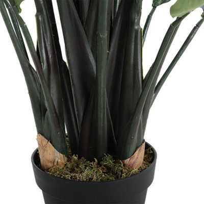 bagged plant Grow Bags