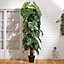 Artificial Plant House Plant Fake Garden Plant Decoration Tree in Black Pot 200 cm