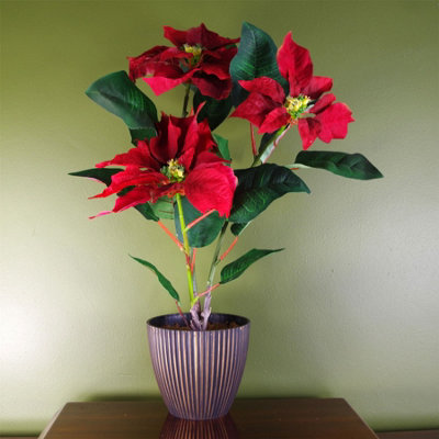 Fake poinsettia online