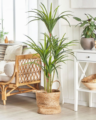 Artificial Potted Plant 147 cm DRACAENA ANITA