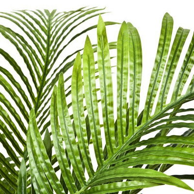 Phoenix Palm Tree in Pot, 160 cm Tall