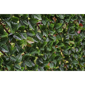 Artificial Red & Green Leaf Willow Fence Screen on Trellis Hedge Screening Expandable Privacy Screen Wall Panel - H 1m x W 2m