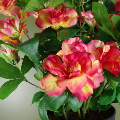 Artificial Rhododendron Plant Flowers Flowering Plant Orange Botanik