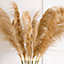 Artificial Single Pampas Grass Stem - Faux Fake Realistic Silk Flower Indoor Home Decoration - Measures L118cm