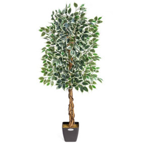 Artificial Variegated Ficus Tree Realistic Faux House Plant in Pot 5ft