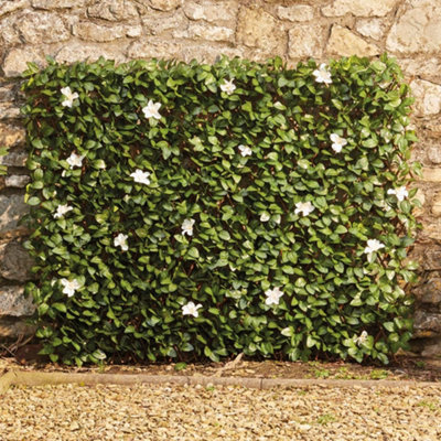 Artificial White Flower Hedge Trellis 1 x 2m Expandable Privacy