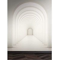 AS Creation 3D Dome Hallway White Grey Wallpaper Feature Wall Mural 159 x 280cm