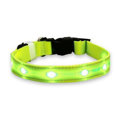 ASAB Light Up LED Dog Collar Green 28 40cm SMALL DIY at B Q