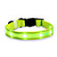ASAB Light Up LED Dog Collar Green 48-60cm - LARGE