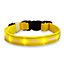 ASAB Light Up LED Dog Collar Yellow 28-40cm - SMALL - selling price 10.99