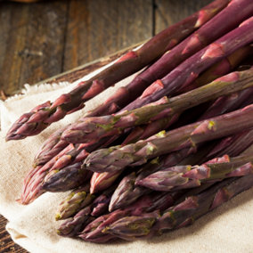 Asparagus Pacific Purple Bare Root Crowns - Grow Your Own Bareroot, Fresh Vegetable Plants, Ideal for UK Gardens (10 Pack)