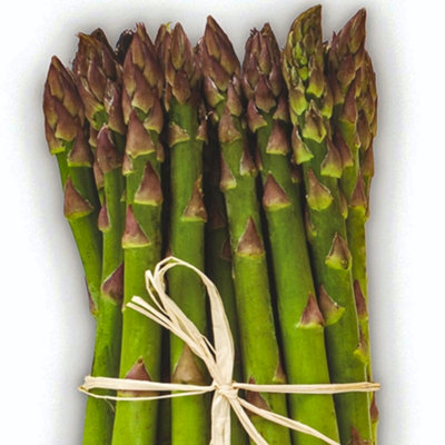 Asparagus Vittorio Bare Root Crowns - Grow Your Own Bareroot, Fresh Vegetable Plants, Ideal for UK Gardens (3 Pack)