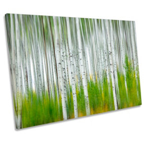 Aspen Forest Birch Trees Green CANVAS WALL ART Print Picture (H)30cm x (W)46cm