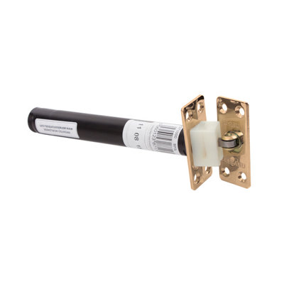 Astra 3003 Series Concealed Fire Door Closers - Brass Rectangular Plate