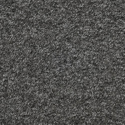 Atlas Budget Loop Pile Carpet by Remland (Black, 1m x 4m)