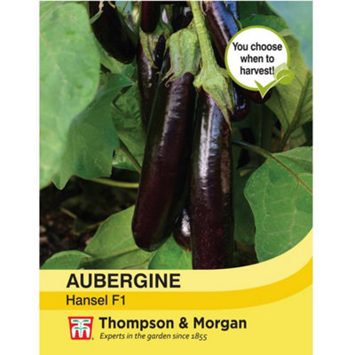 Aubergine Hansel F1 1 Seed Packet (5 Seeds)