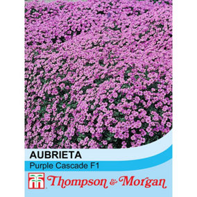 Aubrieta Purple Cascade F1 Hybrid 1 Packet (150 Seeds)