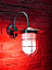 Auraglow Stainless Steel Fishermans Wall Light - Colour Changing