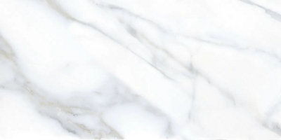 Aurora Carrara Marble Grey Gloss Wall Tiles 30cmx60cm  - Sample Tile