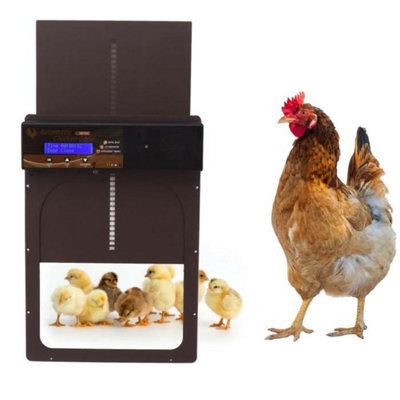 Automatic Chicken Coop Jewel Blue Light Detection 100V to 240V Outdoor