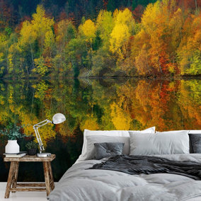 Autumn Forest Lake Mural - 384x260cm - 5067-8
