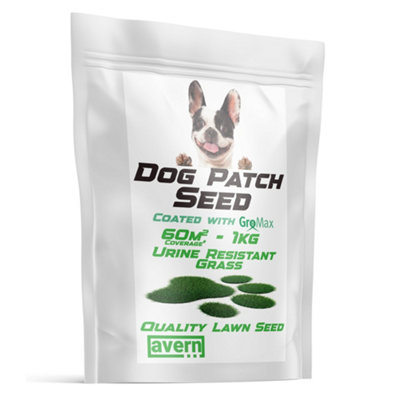 New Seed And Dog Lawn Care Reference: Avern Dog Patch Grass Seed With Gromax
