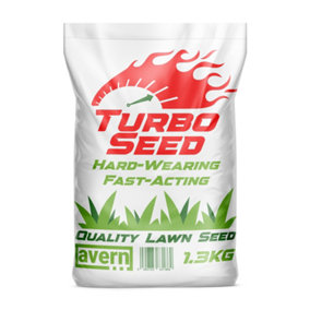 Avern Turbo Lawn Seed with GroMax - 1.3KG