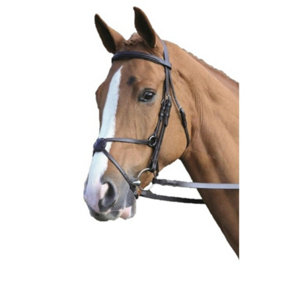 Aviemore Mexican Leather Horse Bridle Havana (Full)