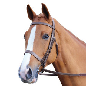 Aviemore Plain Leather Horse Bridle Havana (Full)