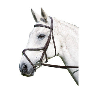 Avignon Grackle Leather Horse Bridle Oak Brown (Full)