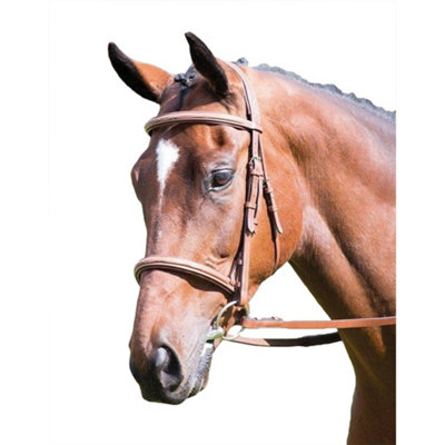 Avignon Hunter Leather Horse Cavesson Bridle Oak Brown (X Full) Price Comparisons | Compare The Build