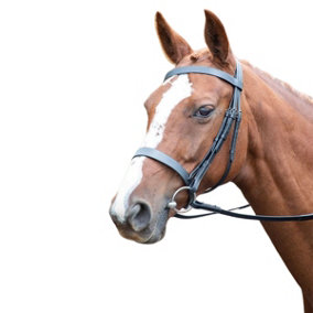 Avignon Leather Horse Cavesson Bridle Black (Pony)