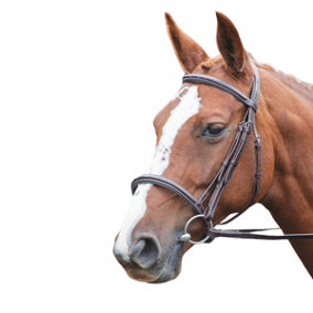 Avignon Leather Horse Cavesson Bridle Havana (X Full)